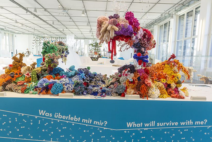 Gehäkelte Korallenriff.