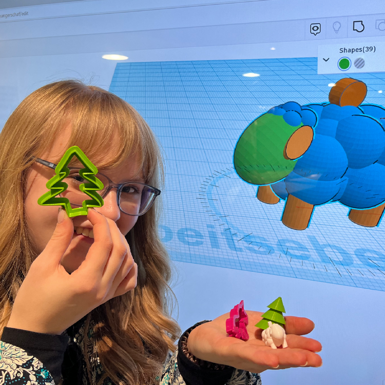 3D-Workshop im DMN.