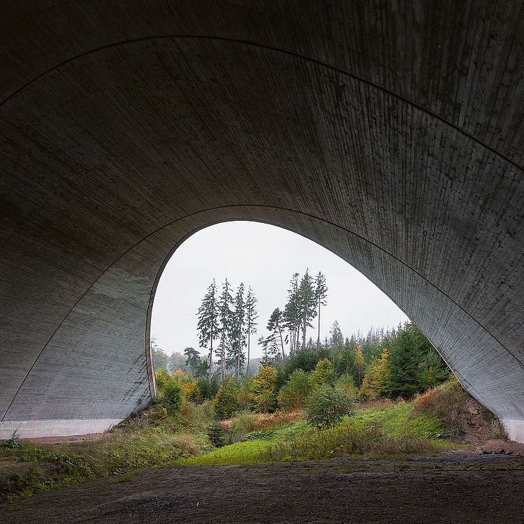 Fotografie Michael Tewes, Natur unter Brücke