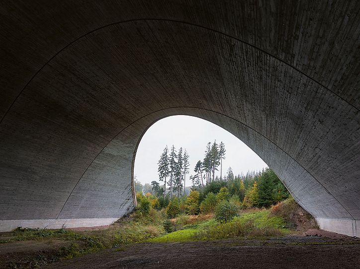 Fotografie Michael Tewes, Natur unter Brücke