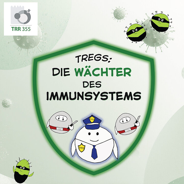 Plakatmotiv mit grünem Schild: "Tregs: Die Wächter des Immunsystems" über Cartoon-Treg-Zellen (eine als Polizist mit Mütze und Krawatte, zwei mit Waffen/Karten) und böse grün-schwarze Virus-Karikaturen; Text unten: "Entdecke die unsichtbaren Helden, die dich beschützen. Komm im Science Communication Lab des Deutschen Museums vorbei. April 10–12, 2026." In der oberen linken Ecke Logo "TRR 355".