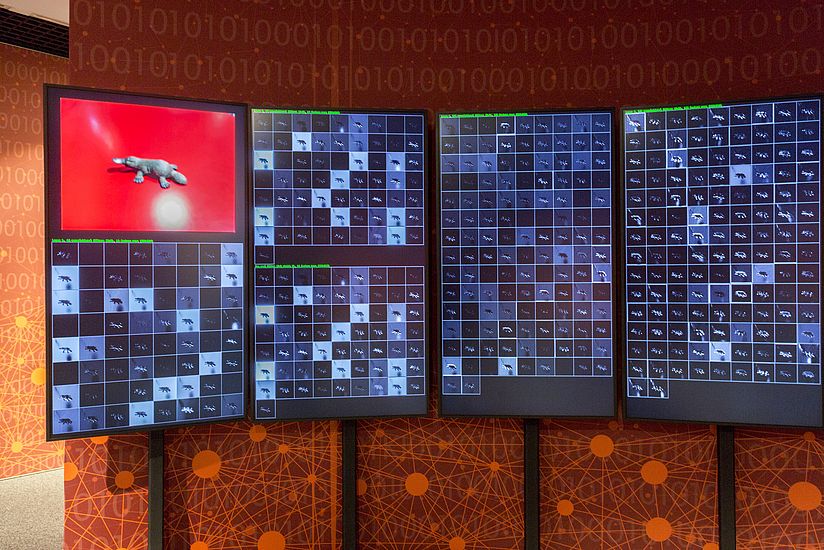 Exponat Convolutional Neural Network im Erlebnisraum KNN Deutsches Museum Bonn.