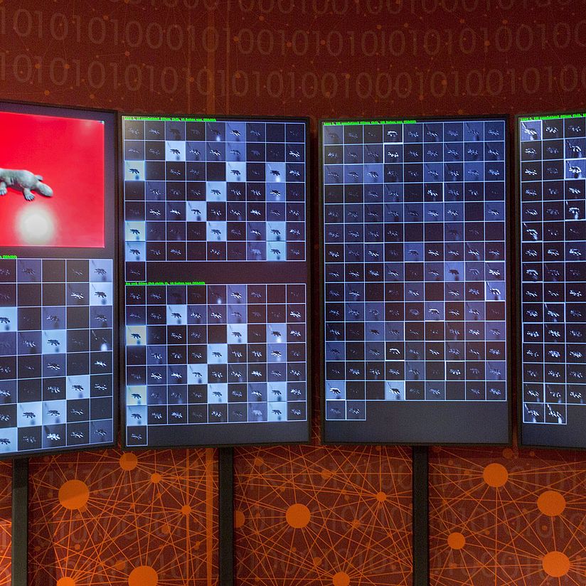 Exponat Convolutional Neural Network im Erlebnisraum KNN Deutsches Museum Bonn.