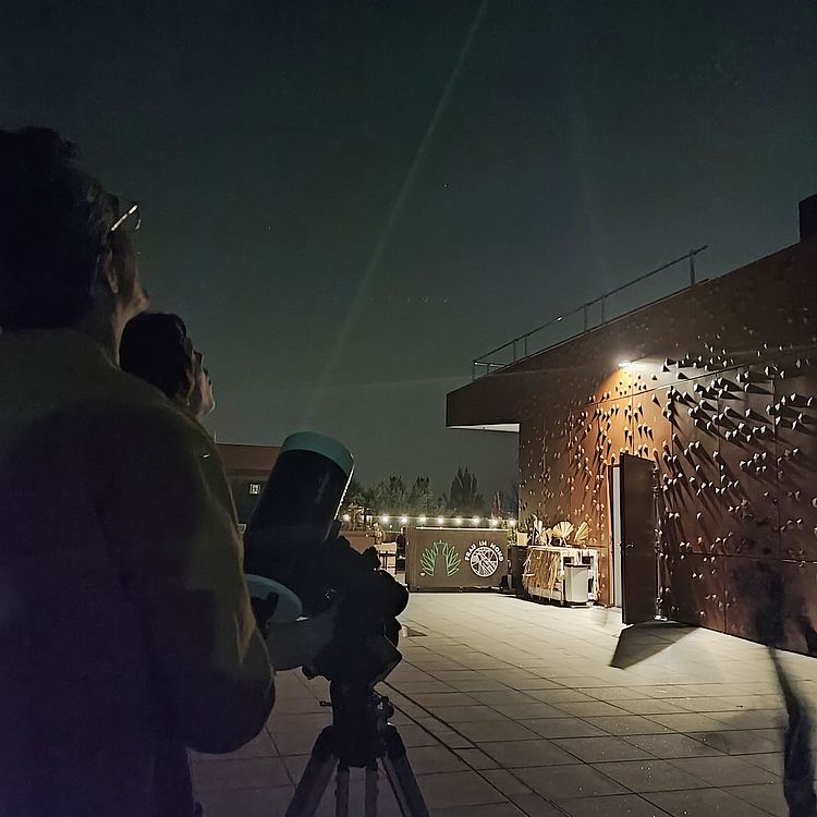 Beobachtung auf der Dachterrasse „Frau im Mond.