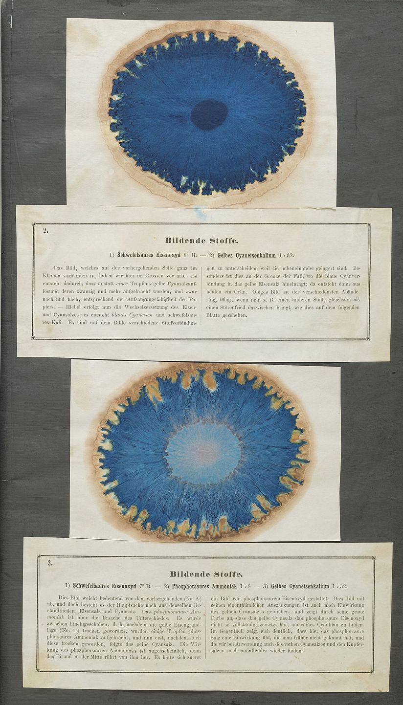 Farbexperimente mit Papierchromatographie