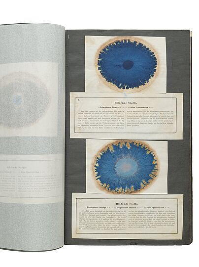 Farbexperimente mit Papierchromatographie