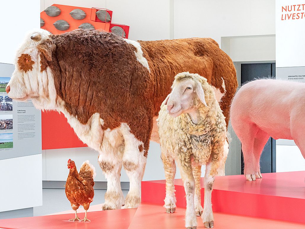 Lebensgroße Modelle von einem Schwein, Schaf und eines Huhns.