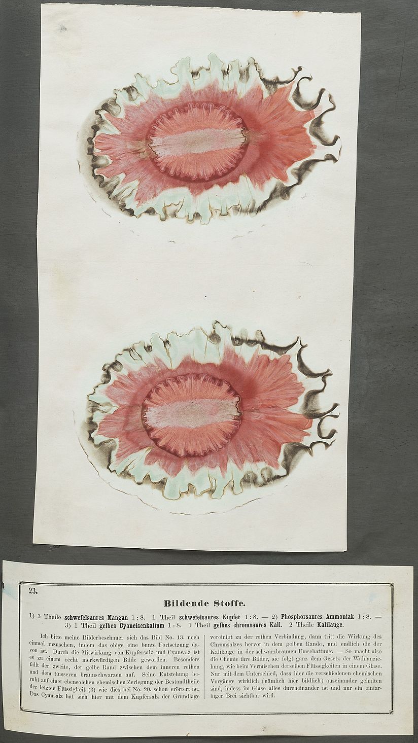 Farbexperimente mit Papierchromatographie