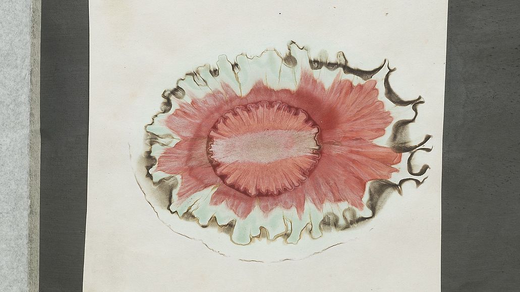 Farbexperimente mit Papierchromatographie