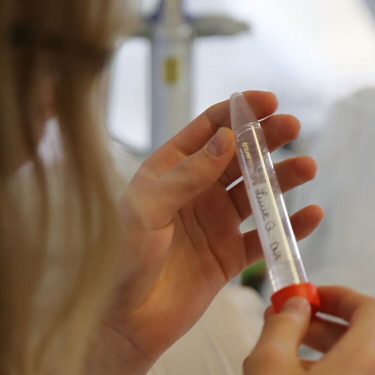 Im DNA-Besucherlabor.