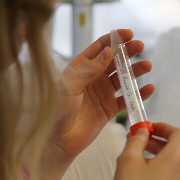 Im DNA-Besucherlabor.