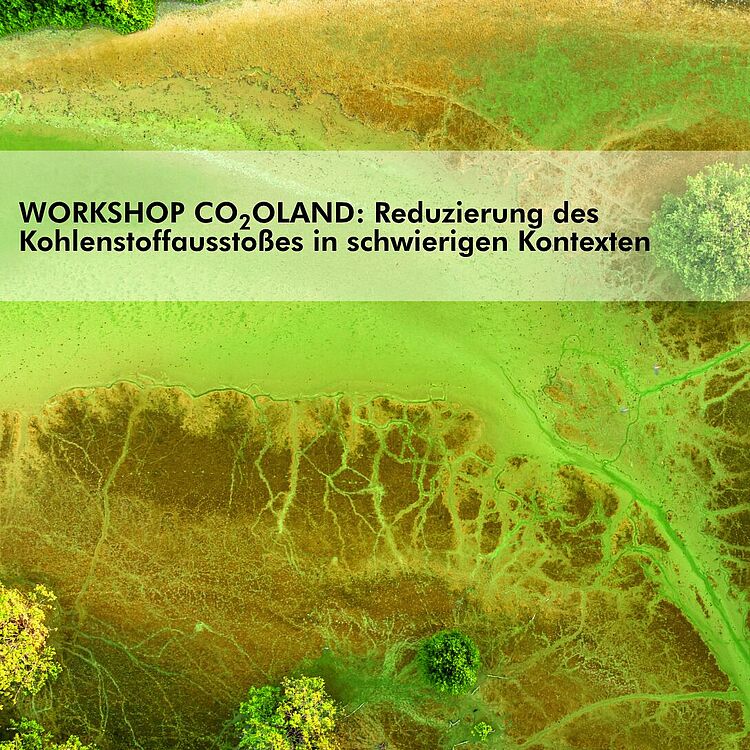 Luftaufnahme der üppig grünen Mangroven-Küste, Progreso, Yucatan, Mexiko. Darüber Titel WORKSHOP CO2OLAND: Reduzierung des Kohlenstoffausstoßes in schwierigen Kontexten sowie die Logos der Teilnehmenden Partner: CDRSyntra, CDRmare, CDRterra, Deutsches Museum, BMFTR
