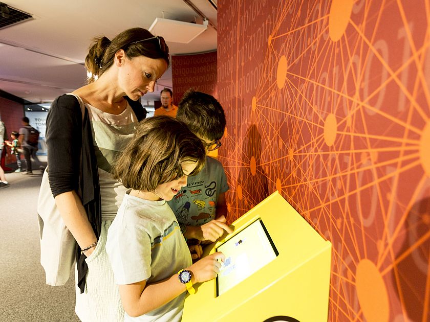 Rack Irrfahrt der kleinen Eule Pfiffikus im DigiTal