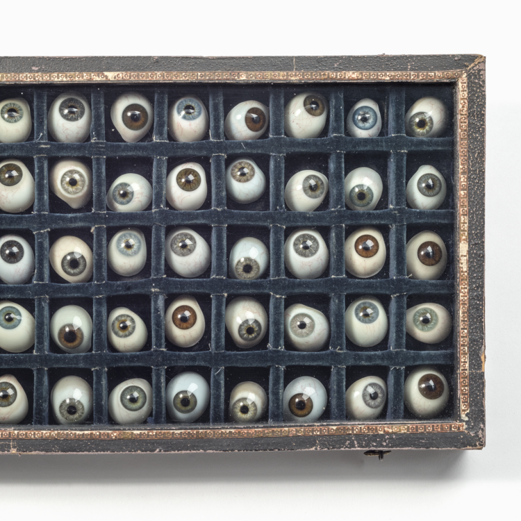 Schulklassenprogramm Gesundheit Gesundheit Schulklassenprogramm Körper