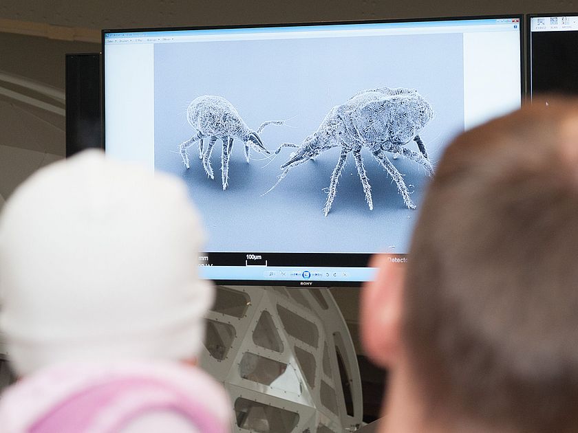 Mikroskopisches Theater Vorführung Mikroskopisches Theater