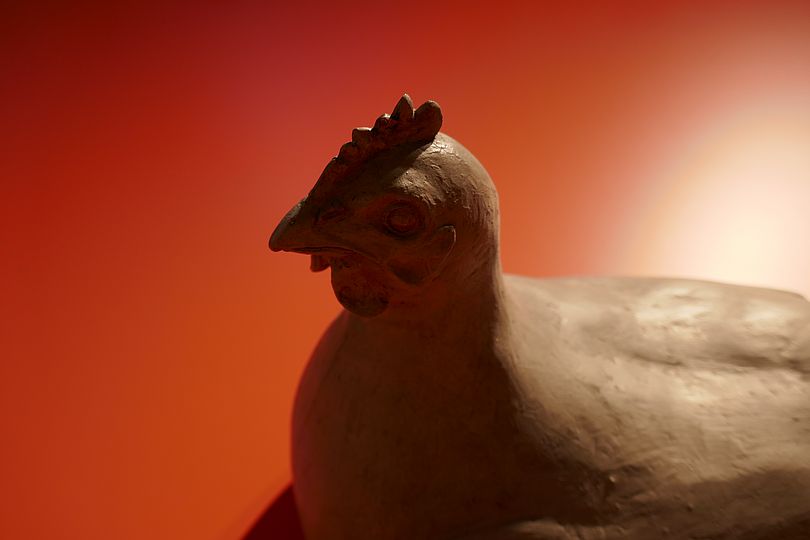 Landwirtschaft Workshop Schulklassen Huhn