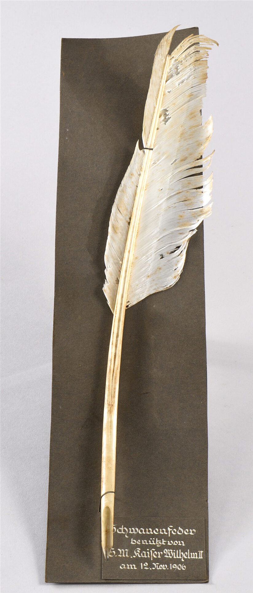 Schwanenfeder von Kaiser Wilhelm II.