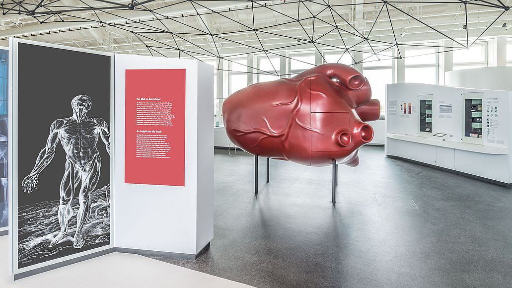 Zur Ausstellung Gesundheit