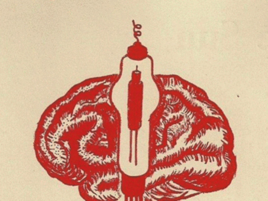 Donna Diode IGGI Projekt