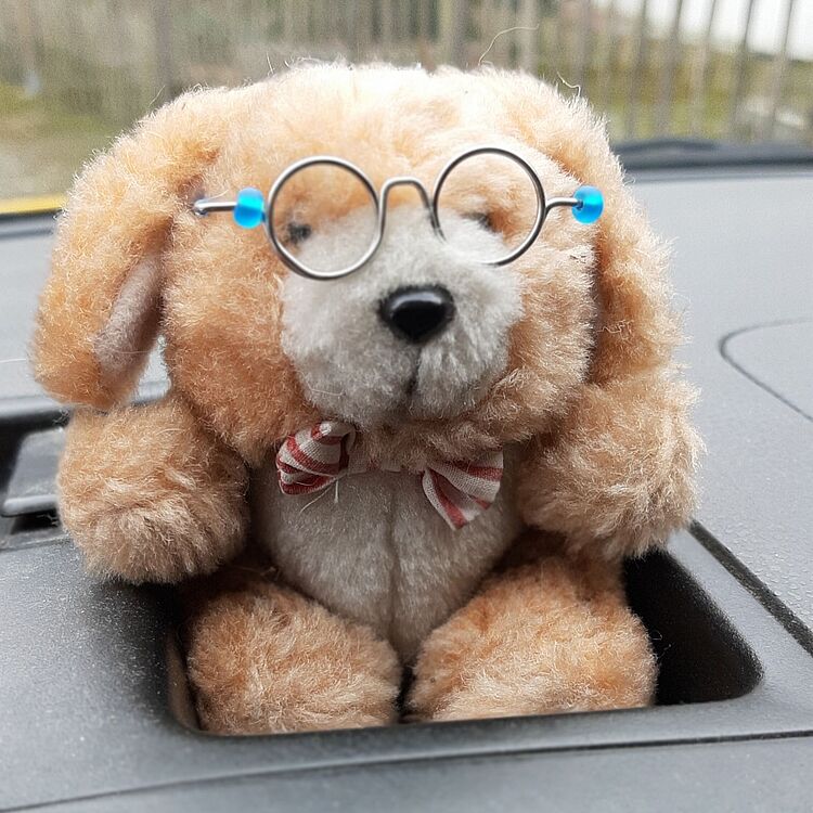 Plüschhund mit hellbraunem Fell und weißer Schnauze, sitzt in einem Autoablagefach, trägt eine kleine rot-weiß gestreifte Fliege und runde Metallbrille mit blauen Endstücken.