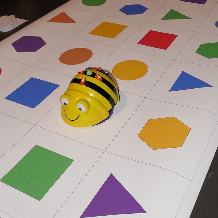 Programm für Schulklassen Beebots Programmieren