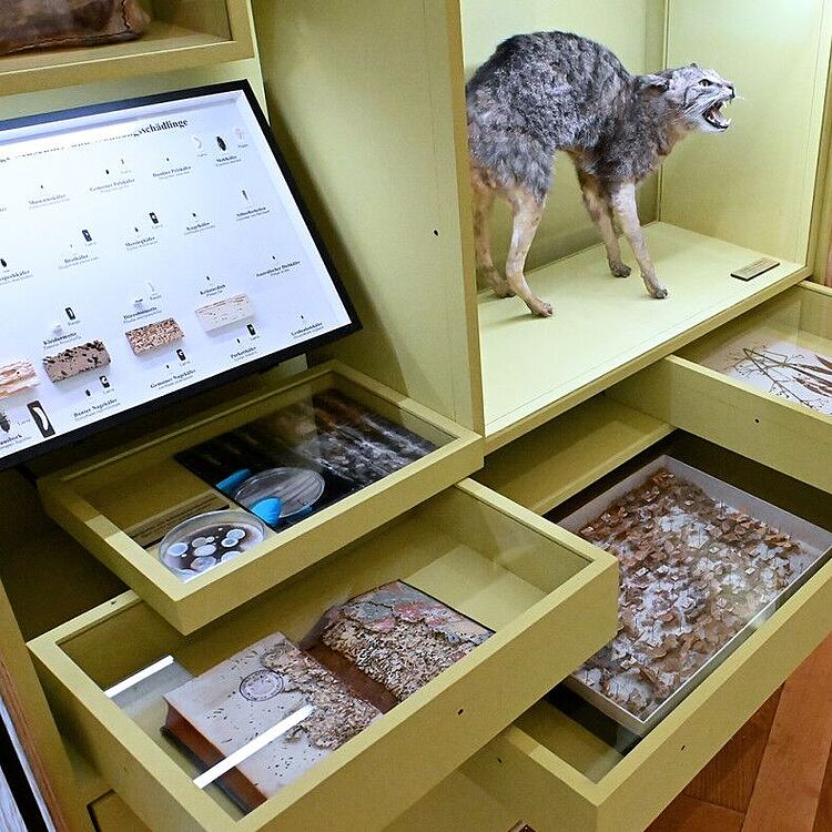 Beschädigte Objekte in der Ausstellung.