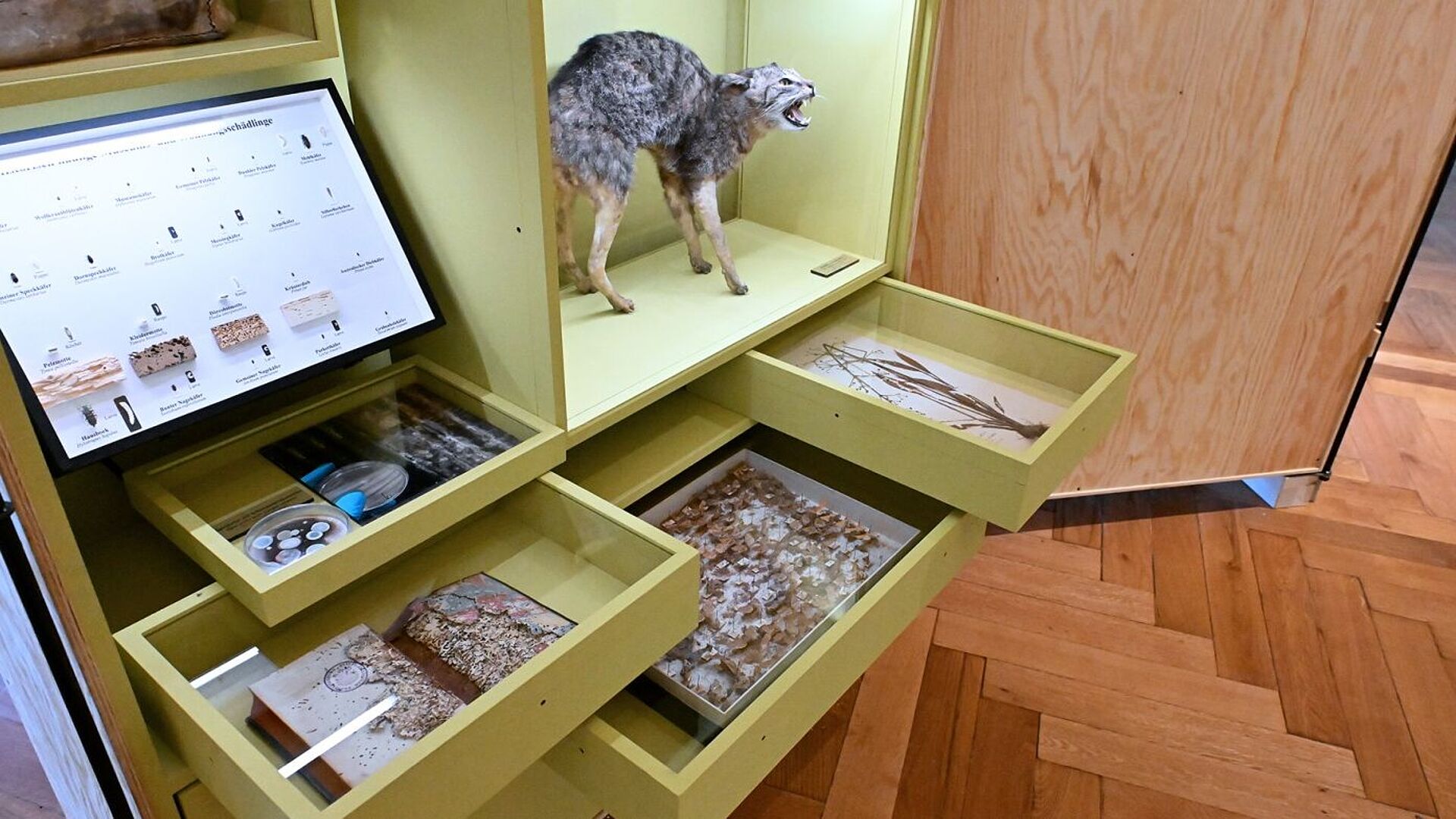 Beschädigte Objekte in der Ausstellung.