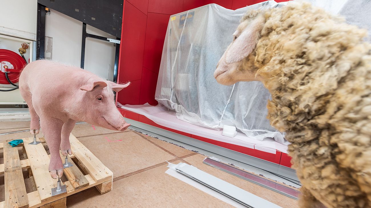 Replika eines Schweins und Schafs in der Ausstellung Landwirtschaft.