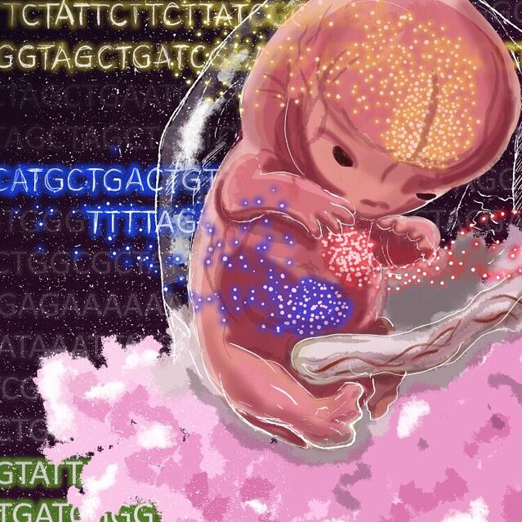 Illustration: kleiner rosa Fötus, im Hintergrund Gensequenzen