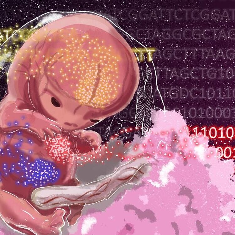 Illustration: kleiner rosa Fötus, im Hintergrund Gensequenzen