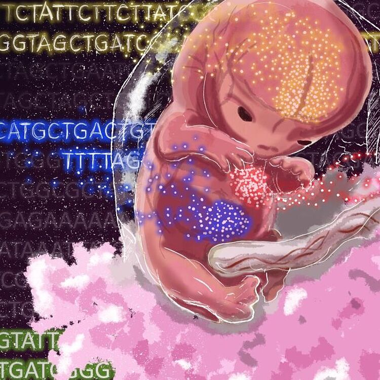 Illustration: kleiner rosa Fötus, im Hintergrund Gensequenzen