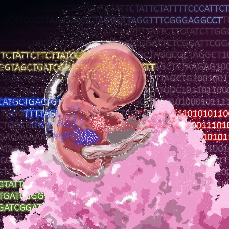 Illustration: kleiner rosa Fötus, im Hintergrund Gensequenzen