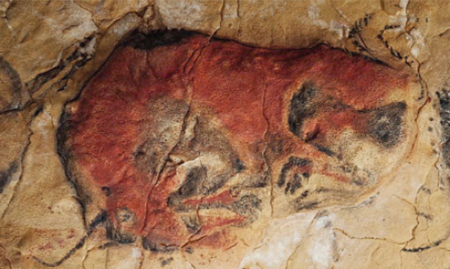 Die Abbildung eines liegenden Bisons an der Höhlendecke.