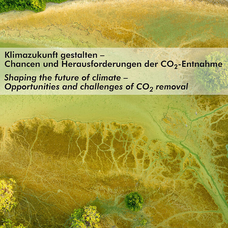 Luftaufnahme der üppig grünen Mangroven-Küste, Progreso, Yucatan, Mexiko. Darüber Titel der Ausstellung „Klimazukunft gestalten – Chancen und Herausforderungen der CO2-Entnahme“ sowie die Logos der Teilnehmenden Partner: CDRSyntra, CDRmare, CDRterra, Deutsches Museum, BMFTR.