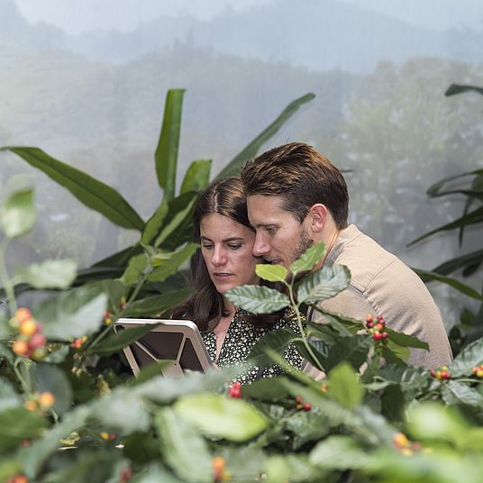 Besucherin und Besucher lassen mit Hilfe der Kosmos Kaffee AR-App eine Kaffeepflanze wachsen.