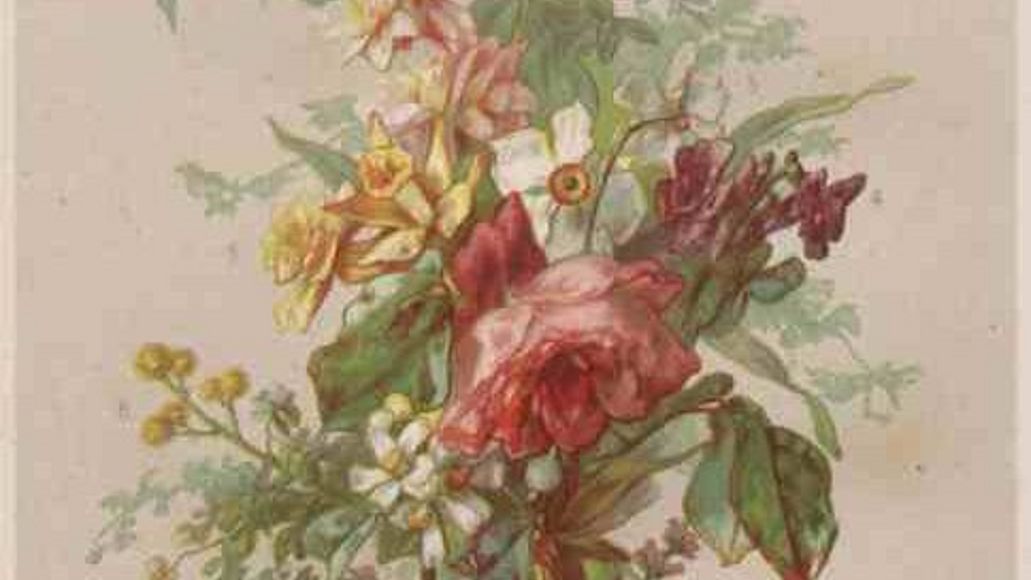 In der Parfumherstellung verwendete Blumen.