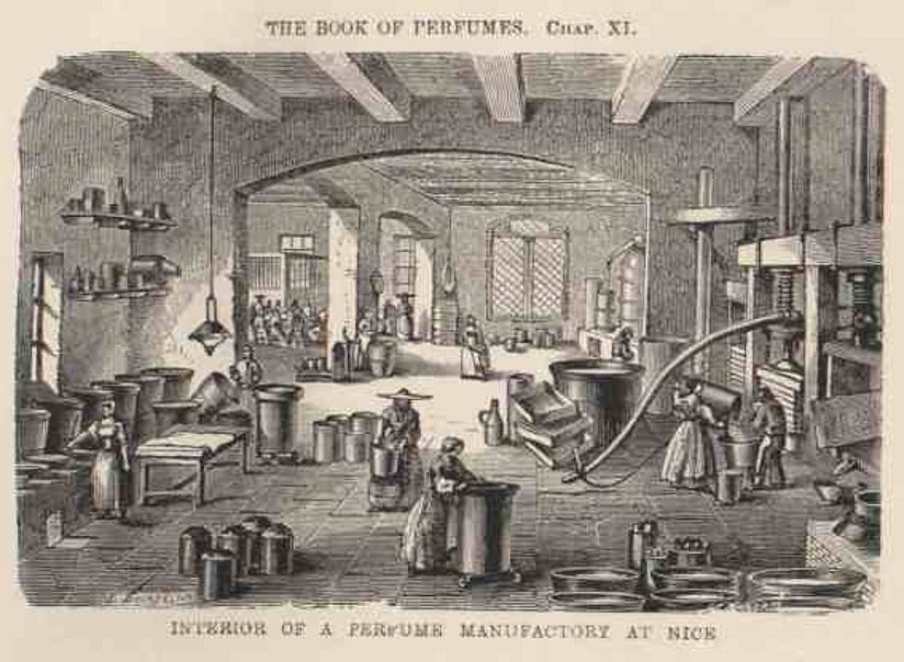 Holzschnitt des Rimmel