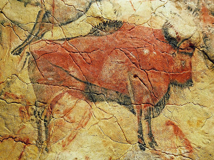 Ein gemalter Bison in der Altamira-Höhle.