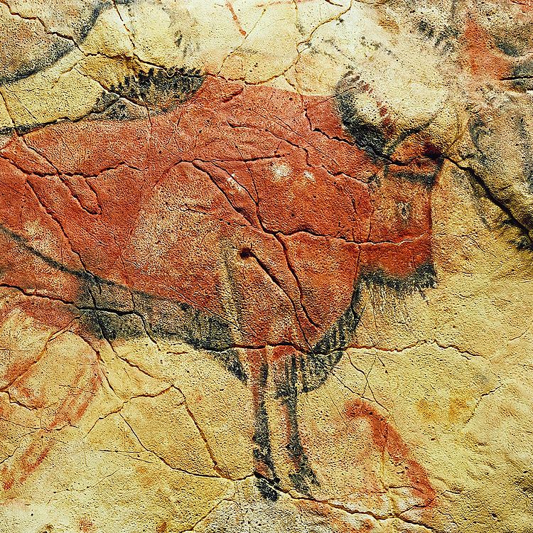 Ein gemalter Bison in der Altamira-Höhle.