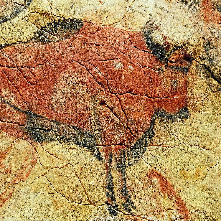 Ein gemalter Bison in der Altamira-Höhle.