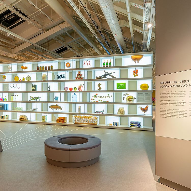 Lebensmittelregal Regal mit verschiedenen Lebensmitteln in der Ausstellung Landwirtschaft und Ernährung.