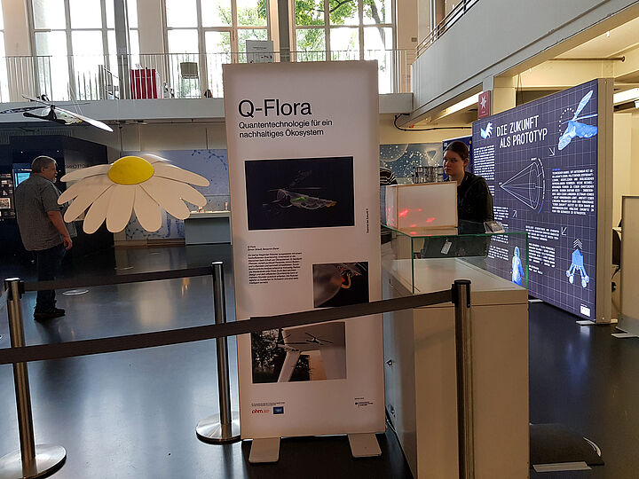 Infotafel „Q-Flora“ vor großem Blütenmodell in der Ausstellung.