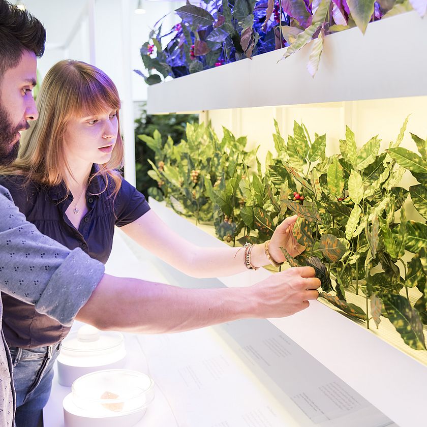 Ein Mann und eine Frau betrachten das Klimaregal in der Sonderausstellung Kosmos Kaffee.