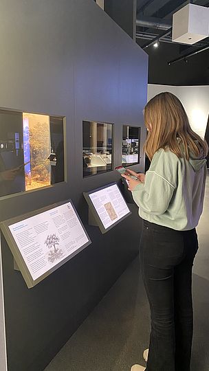 Schülerin mit Smartphone recherchiert vor dem Diorama der Ausstellung Optik.