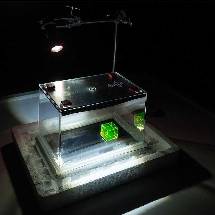Eine transparente Kunststoffbox auf einer Styroporbasis, beleuchtet von einem kleinen Spotlicht darüber; im Inneren ein leuchtend grüner, durchsichtiger Würfel und seine Spiegelung auf der glänzenden Bodenplatte, dunkler Hintergrund.