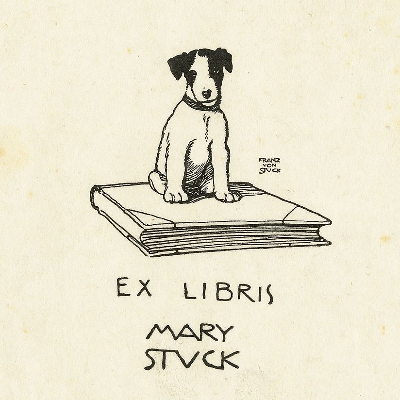 Hund, auf einem Buch sitzend.